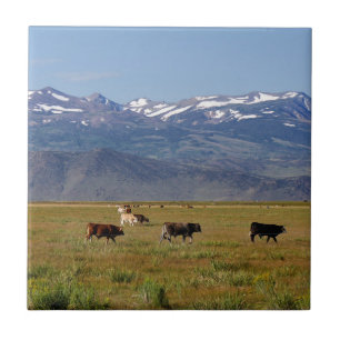 California HWY 395 Landscape Tile