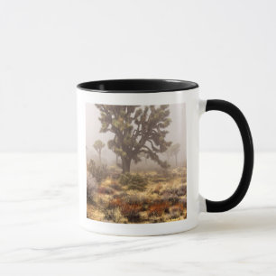 California: Joshua Tree National Monument, Mug