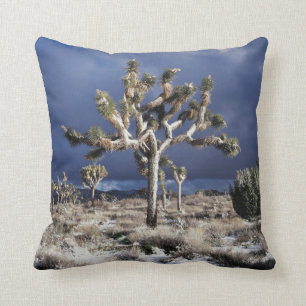 California, Joshua Tree National Park Cushion