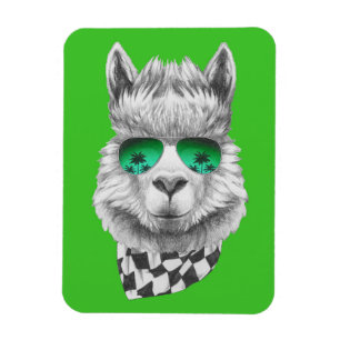 California llama magnet