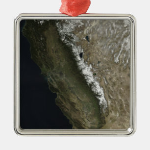 California Metal Tree Decoration