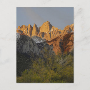 California, Mount Whitney, Inyo National Forest 3 Postcard