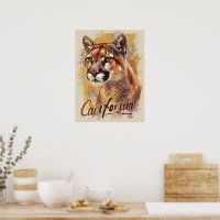 California Mountain Lion Cougar Portrait