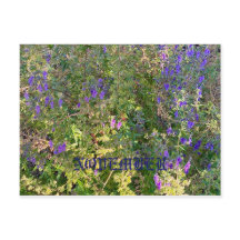 CALIFORNIA NATIVE COLORS: NOVEMBER POSTCARD