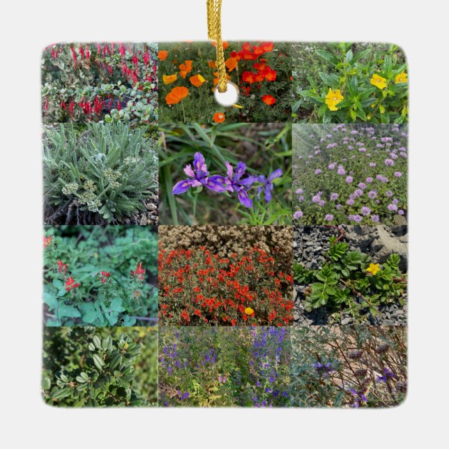 California Native Colours 2020 Ceramic Ornament (Front)
