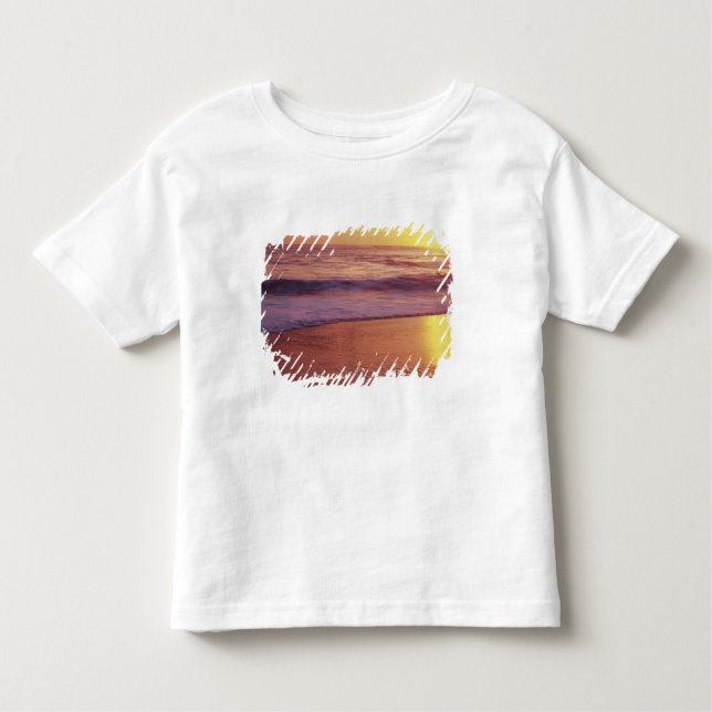 California, near Santa Cruz, View of beach at Toddler T-Shirt (Front)