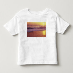 California, near Santa Cruz, View of beach at Toddler T-Shirt