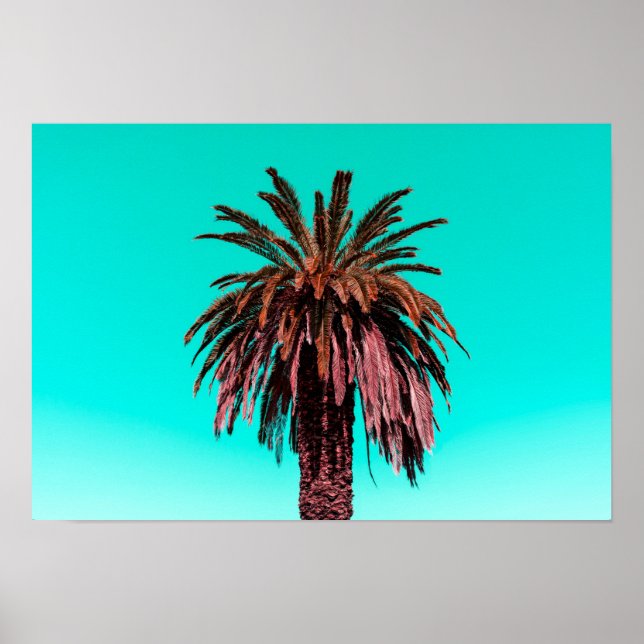 California Palm Tree Poster (Front)