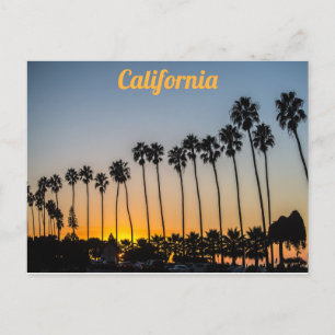 California Palm Trees on the Beach at Sunset Postcard