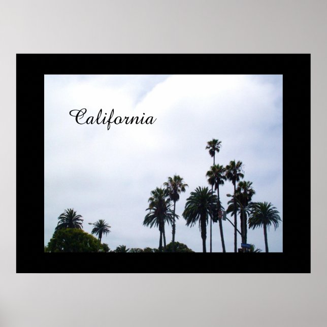 CALIFORNIA PALMS poster (Front)