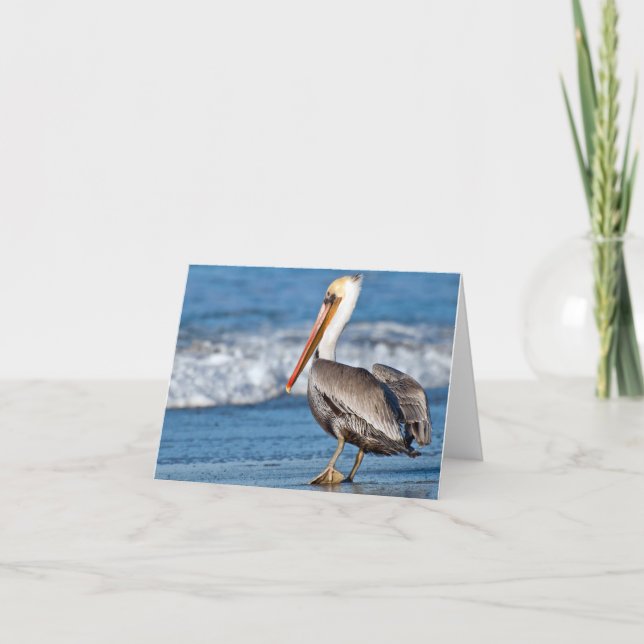 California Pelican on the Beach Card (Front)