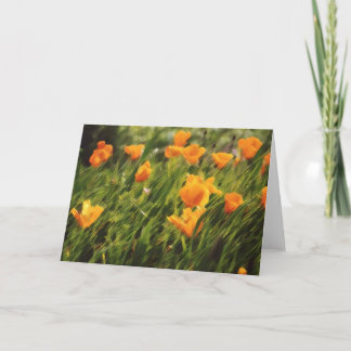 California Poppies 01 Card
