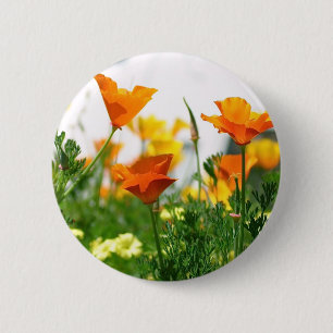 California Poppies 6 Cm Round Badge