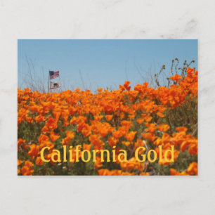 California Poppies And American Flag Post Card