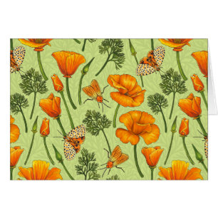 California poppies and moths on honey dew