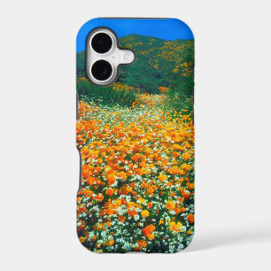 California Poppies and Popcorn wildflowers