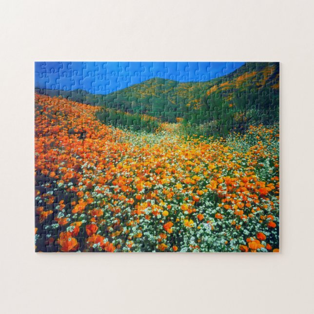 California Poppies and Popcorn wildflowers Jigsaw Puzzle (Horizontal)