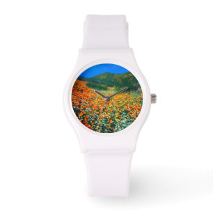 California Poppies and Popcorn wildflowers Watch