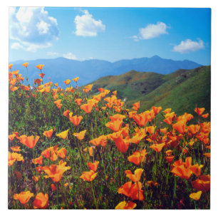 California Poppies Covering a Hillside Ceramic Tile