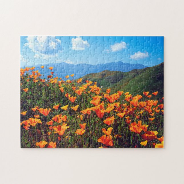 California poppies covering a hillside jigsaw puzzle (Horizontal)