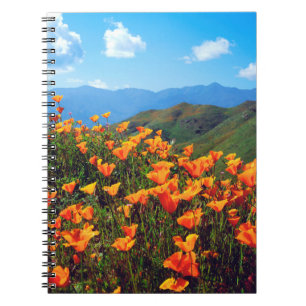 California poppies covering a hillside notebook
