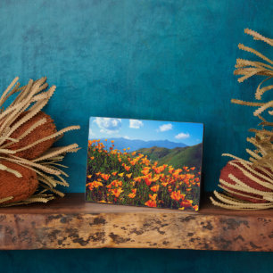 California Poppies Covering a Hillside Plaque