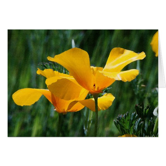 California Poppies Flowers Card