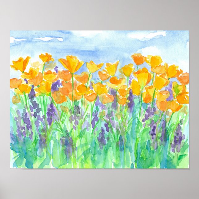 California Poppies Lupines Poster (Front)