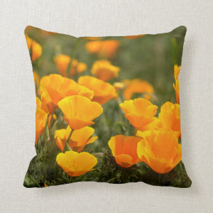 California poppies, Montana de Oro State Park Cushion