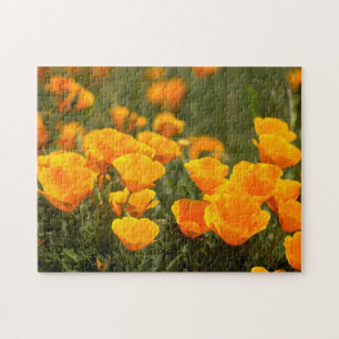 California poppies, Montana de Oro State Park Jigsaw Puzzle