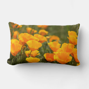California poppies, Montana de Oro State Park Lumbar Cushion