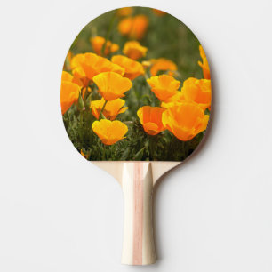 California poppies, Montana de Oro State Park Ping Pong Paddle