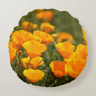 California poppies, Montana de Oro State Park Round Cushion