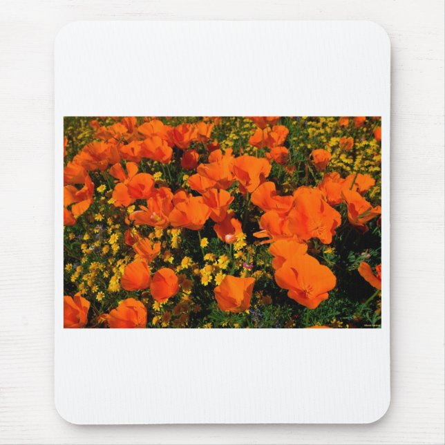 California Poppies Mouse Pad (Front)