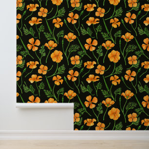 California poppies, summertime flowers on black wallpaper