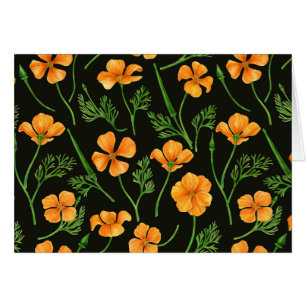 California poppies, summertime flowers, orange wil