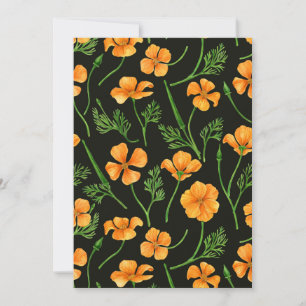 California poppies, summertime flowers, orange wil