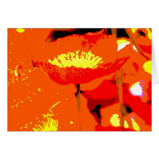 California Poppy