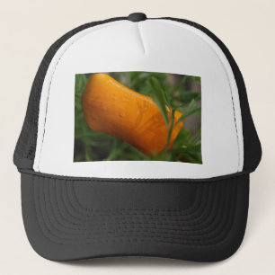 California Poppy bud Trucker Hat