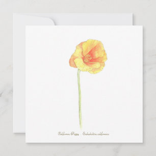 California Poppy Card