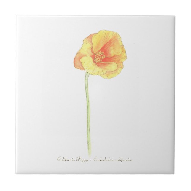 California Poppy  Ceramic Tile (Front)