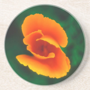 California Poppy Coaster