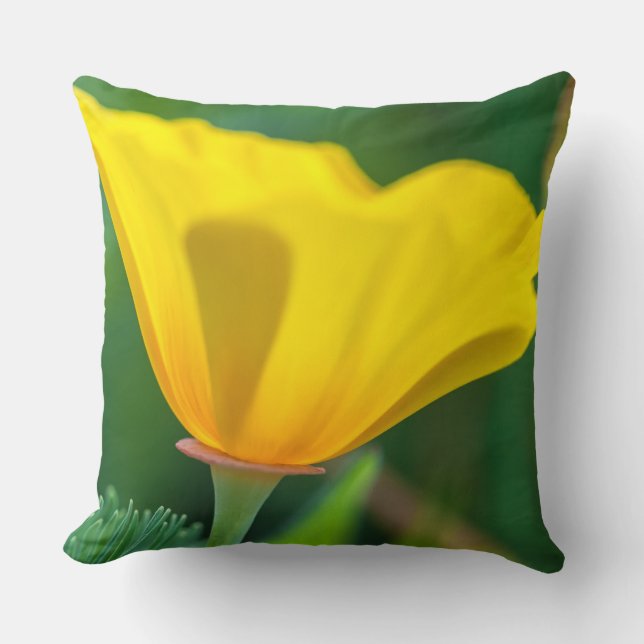 California Poppy  Cushion (Front)