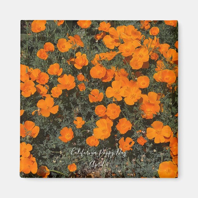 California Poppy Day Magnet (Front)
