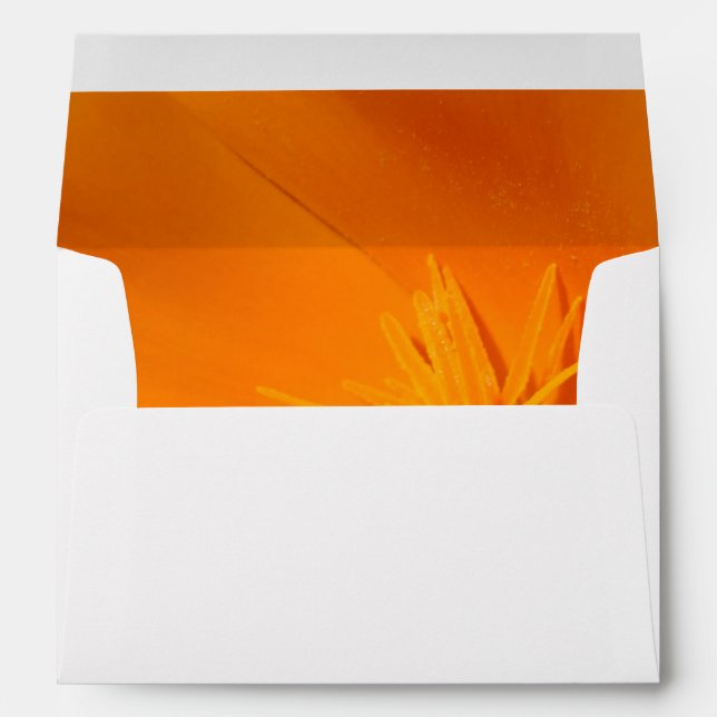 California Poppy Envelope (Back (Bottom))