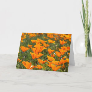 California Poppy Field Blank Greeting Card