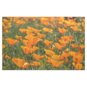 California Poppy Field Fabric