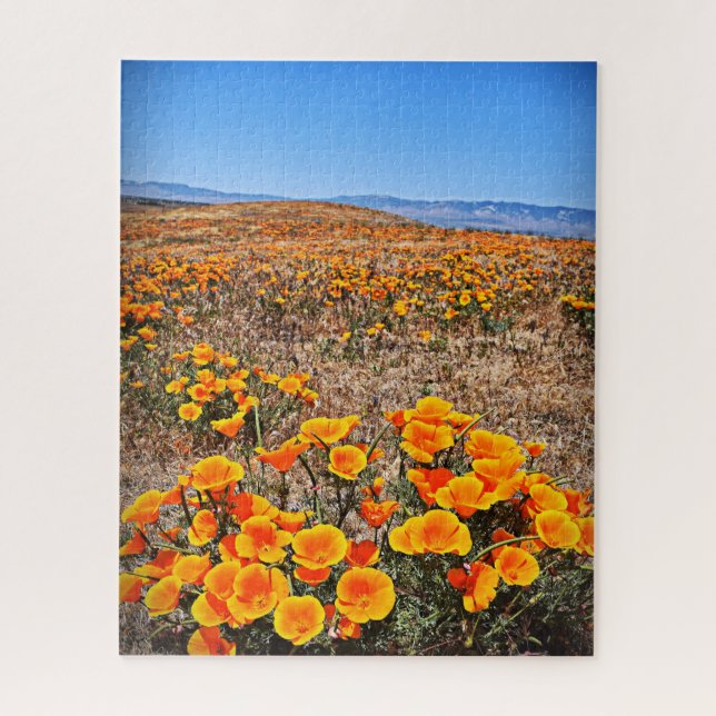 California Poppy Fields - Flowers - 16x20 - 520 pc Jigsaw Puzzle (Vertical)