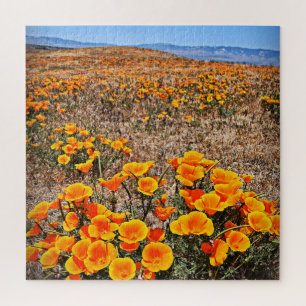 California Poppy Fields - Flowers - 20x20 - 676 pc Jigsaw Puzzle