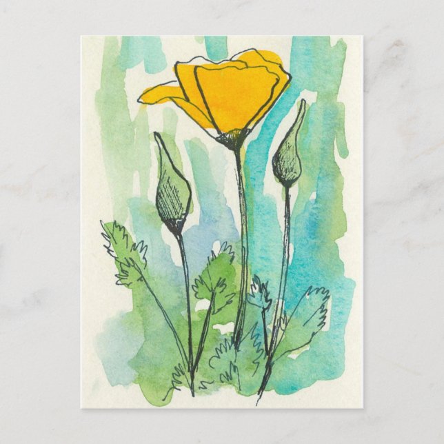California Poppy Flower Bloom Spring Green Postcard (Front)
